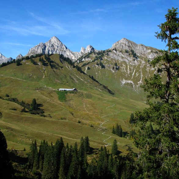 Schneetal Alm - Reuttener Bergbahn