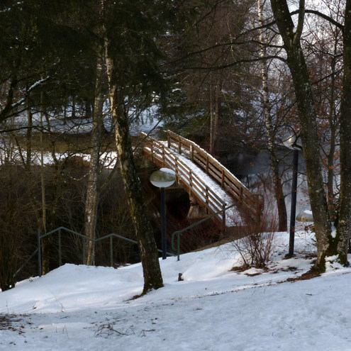 Schwaltenweiher Brücke zur Insel
